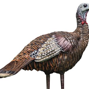 "Avian X AVXAVX8006 LCD Lookout Hen Turkey Species Multi Color Dura-Rubber"