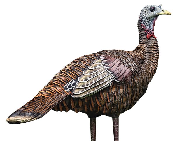 "Avian X AVXAVX8006 LCD Lookout Hen Turkey Species Multi Color Dura-Rubber"