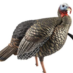"Avian X AVXAVX8105 HDR Jake Turkey Decoy Multi Color"