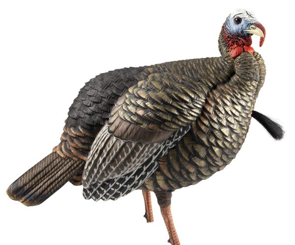 "Avian X AVXAVX8105 HDR Jake Turkey Decoy Multi Color"