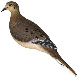 "Avian X AVX-DOVE-6PK  Full Body Dove Multi-Color 6 Pack"