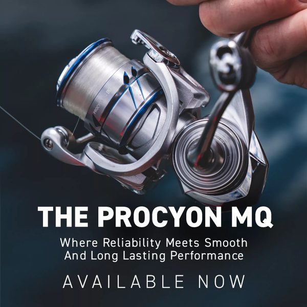 Daiwa Procyon MQ LT Spinning Reel 2500D-XH - Image 2